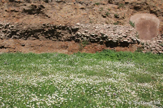 粗眉仔, 旅遊, 文化遺產, 藝術, 歐洲, 意大利, 梵蒂岡, 羅馬, 翡冷翠, 佛羅倫斯, 拿波里, 那不勒斯, 龐貝, 古蹟, 文藝復興, travel, Europe, Italy, Rome, Napoli, Florence, Renaissance, Pompeii, relics, Vatican