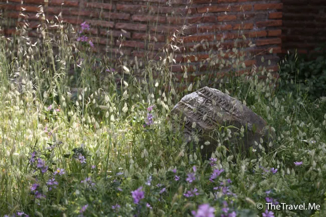 粗眉仔, 旅遊, 文化遺產, 藝術, 歐洲, 意大利, 梵蒂岡, 羅馬, 翡冷翠, 佛羅倫斯, 拿波里, 那不勒斯, 龐貝, 古蹟, 文藝復興, travel, Europe, Italy, Rome, Napoli, Florence, Renaissance, Pompeii, relics, Vatican