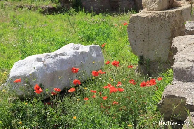 粗眉仔, 旅遊, 文化遺產, 藝術, 歐洲, 意大利, 梵蒂岡, 羅馬, 翡冷翠, 佛羅倫斯, 拿波里, 那不勒斯, 龐貝, 古蹟, 文藝復興, travel, Europe, Italy, Rome, Napoli, Florence, Renaissance, Pompeii, relics, Vatican