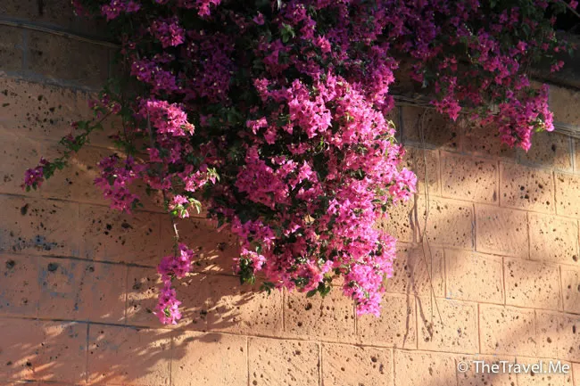 粗眉仔, 旅遊, 文化遺產, 藝術, 歐洲, 意大利, 梵蒂岡, 羅馬, 翡冷翠, 佛羅倫斯, 拿波里, 那不勒斯, 龐貝, 古蹟, 文藝復興, travel, Europe, Italy, Rome, Napoli, Florence, Renaissance, Pompeii, relics, Vatican