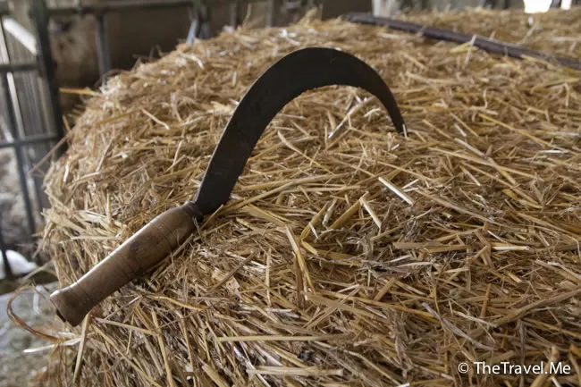 粗眉仔, 旅遊, 文化遺產, 藝術, 歐洲, 意大利, 梵蒂岡, 羅馬, 翡冷翠, 佛羅倫斯, 拿波里, 那不勒斯, 龐貝, 古蹟, 文藝復興, travel, Europe, Italy, Rome, Napoli, Florence, Renaissance, Pompeii, relics, Vatican