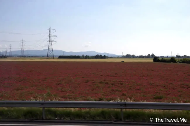 粗眉仔, 旅遊, 文化遺產, 藝術, 歐洲, 意大利, 梵蒂岡, 羅馬, 翡冷翠, 佛羅倫斯, 拿波里, 那不勒斯, 龐貝, 古蹟, 文藝復興, travel, Europe, Italy, Rome, Napoli, Florence, Renaissance, Pompeii, relics, Vatican