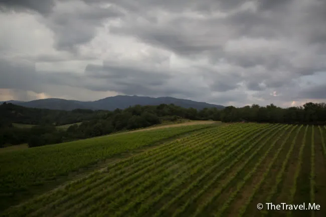 粗眉仔, 旅遊, 文化遺產, 藝術, 歐洲, 意大利, 梵蒂岡, 羅馬, 翡冷翠, 佛羅倫斯, 拿波里, 那不勒斯, 龐貝, 古蹟, 文藝復興, travel, Europe, Italy, Rome, Napoli, Florence, Renaissance, Pompeii, relics, Vatican