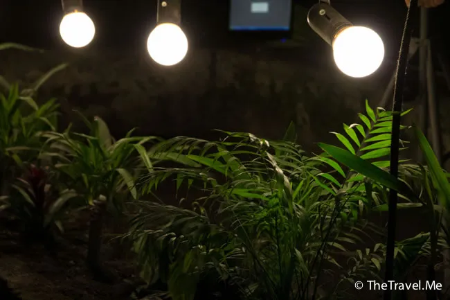 粗眉仔, 旅遊, 文化遺產, 藝術, 歐洲, 意大利, 梵蒂岡, 羅馬, 翡冷翠, 佛羅倫斯, 拿波里, 那不勒斯, 龐貝, 古蹟, 文藝復興, travel, Europe, Italy, Rome, Napoli, Florence, Renaissance, Pompeii, relics, Vatican