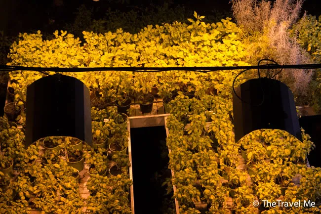 粗眉仔, 旅遊, 文化遺產, 藝術, 歐洲, 意大利, 梵蒂岡, 羅馬, 翡冷翠, 佛羅倫斯, 拿波里, 那不勒斯, 龐貝, 古蹟, 文藝復興, travel, Europe, Italy, Rome, Napoli, Florence, Renaissance, Pompeii, relics, Vatican