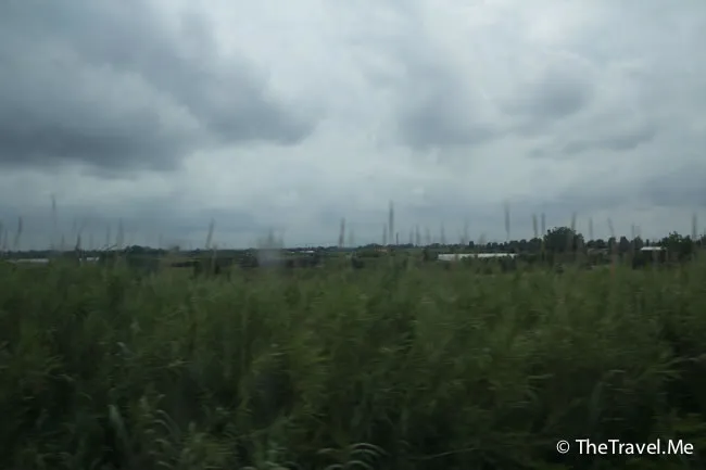 粗眉仔, 旅遊, 文化遺產, 藝術, 歐洲, 意大利, 梵蒂岡, 羅馬, 翡冷翠, 佛羅倫斯, 拿波里, 那不勒斯, 龐貝, 古蹟, 文藝復興, travel, Europe, Italy, Rome, Napoli, Florence, Renaissance, Pompeii, relics, Vatican