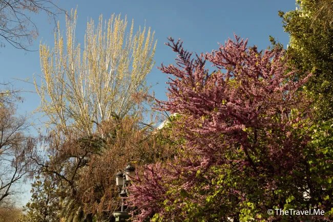 旅遊, Travel, 渡假, 觀光, sightseeing, 歐洲, europe, 西班牙, spain, 馬德里, Madrid, 沙拉哥薩, Zaragoz, 巴塞隆拿, Barcelona, 美食, delicacies