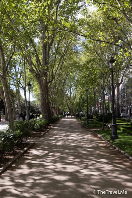 旅遊, Travel, 渡假, 觀光, sightseeing, 歐洲, europe, 西班牙, spain, 馬德里, Madrid, 沙拉哥薩, Zaragoz, 巴塞隆拿, Barcelona, 美食, delicacies