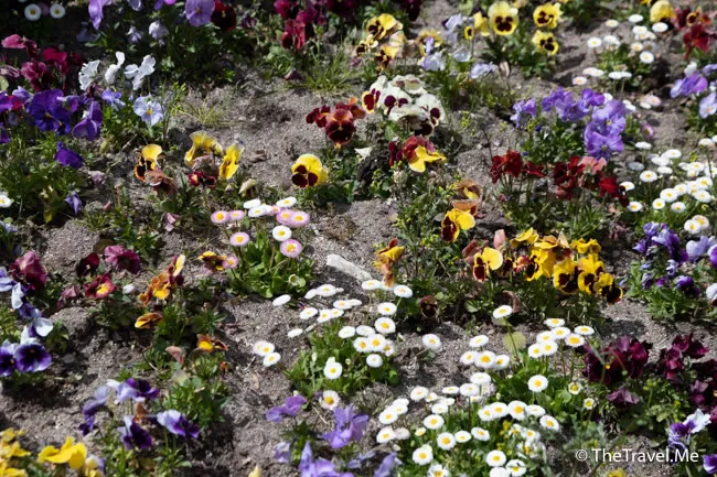 旅遊, Travel, 渡假, 觀光, sightseeing, 歐洲, europe, 西班牙, spain, 馬德里, Madrid, 沙拉哥薩, Zaragoz, 巴塞隆拿, Barcelona, 美食, delicacies