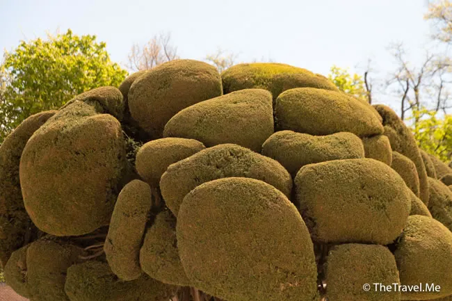 旅遊, Travel, 渡假, 觀光, sightseeing, 歐洲, europe, 西班牙, spain, 馬德里, Madrid, 沙拉哥薩, Zaragoz, 巴塞隆拿, Barcelona, 美食, delicacies