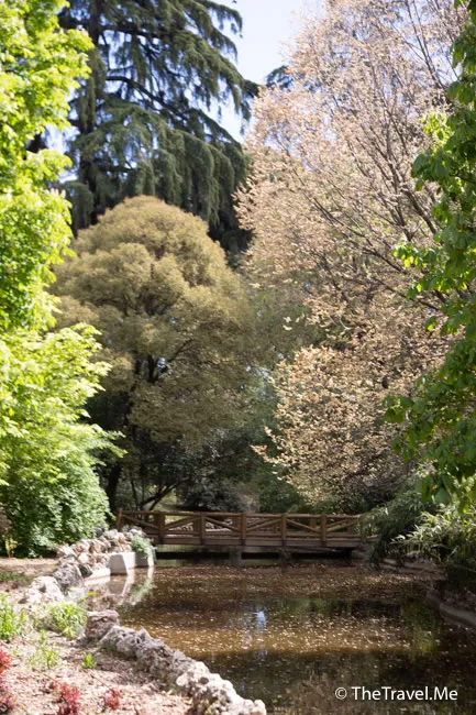 旅遊, Travel, 渡假, 觀光, sightseeing, 歐洲, europe, 西班牙, spain, 馬德里, Madrid, 沙拉哥薩, Zaragoz, 巴塞隆拿, Barcelona, 美食, delicacies