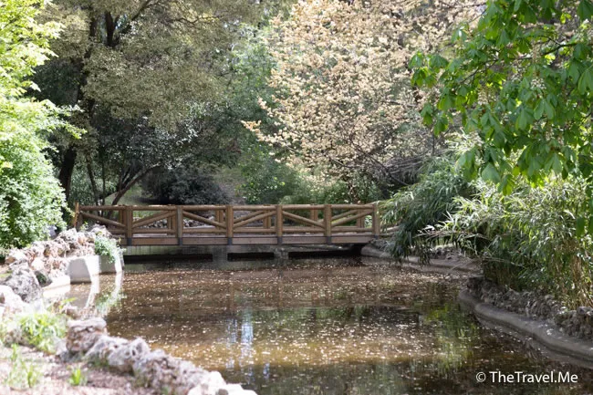 旅遊, Travel, 渡假, 觀光, sightseeing, 歐洲, europe, 西班牙, spain, 馬德里, Madrid, 沙拉哥薩, Zaragoz, 巴塞隆拿, Barcelona, 美食, delicacies