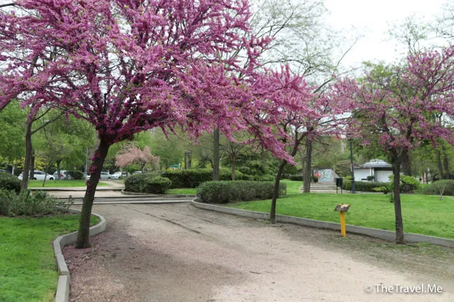 旅遊, Travel, 渡假, 觀光, sightseeing, 歐洲, europe, 西班牙, spain, 馬德里, Madrid, 沙拉哥薩, Zaragoz, 巴塞隆拿, Barcelona, 美食, delicacies