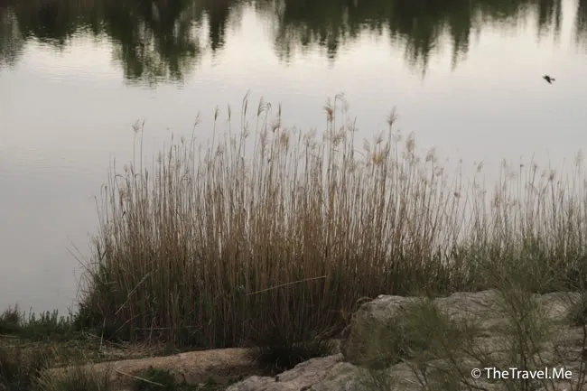 旅遊, Travel, 渡假, 觀光, sightseeing, 歐洲, europe, 西班牙, spain, 馬德里, Madrid, 沙拉哥薩, Zaragoz, 巴塞隆拿, Barcelona, 美食, delicacies