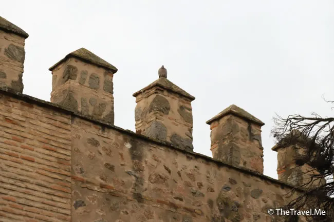 旅遊, Travel, 渡假, 觀光, sightseeing, 歐洲, europe, 西班牙, spain, 馬德里, Madrid, 沙拉哥薩, Zaragoz, 巴塞隆拿, Barcelona, 美食, delicacies