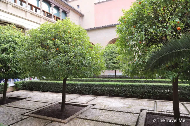 旅遊, Travel, 渡假, 觀光, sightseeing, 歐洲, europe, 西班牙, spain, 馬德里, Madrid, 沙拉哥薩, Zaragoz, 巴塞隆拿, Barcelona, 美食, delicacies