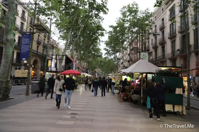 旅遊, Travel, 渡假, 觀光, sightseeing, 歐洲, europe, 西班牙, spain, 馬德里, Madrid, 沙拉哥薩, Zaragoz, 巴塞隆拿, Barcelona, 美食, delicacies