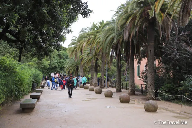 旅遊, Travel, 渡假, 觀光, sightseeing, 歐洲, europe, 西班牙, spain, 馬德里, Madrid, 沙拉哥薩, Zaragoz, 巴塞隆拿, Barcelona, 美食, delicacies