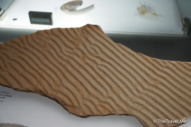 旅遊, Travel, 渡假, 觀光, sightseeing, 歐洲, europe, 西班牙, spain, 馬德里, Madrid, 沙拉哥薩, Zaragoz, 巴塞隆拿, Barcelona, 美食, delicacies